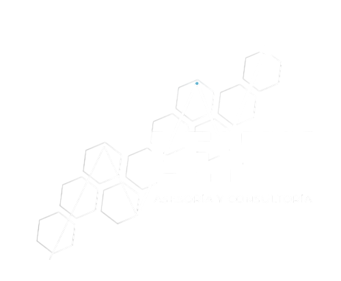 Logo LENKI grande